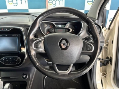 16934RenaultCapturDynamic010-1-th.jpg