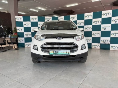 17273FordEcoSport002-th.jpg
