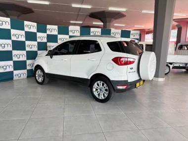 17273FordEcoSport013-th.jpg