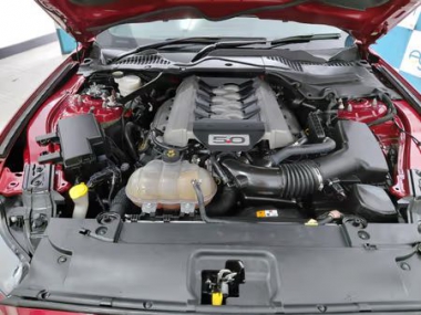 17880FordMustang018-th.jpg