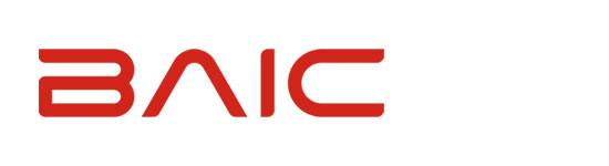 2025 BAIC Beijing X55 1.5T Premium Auto + 